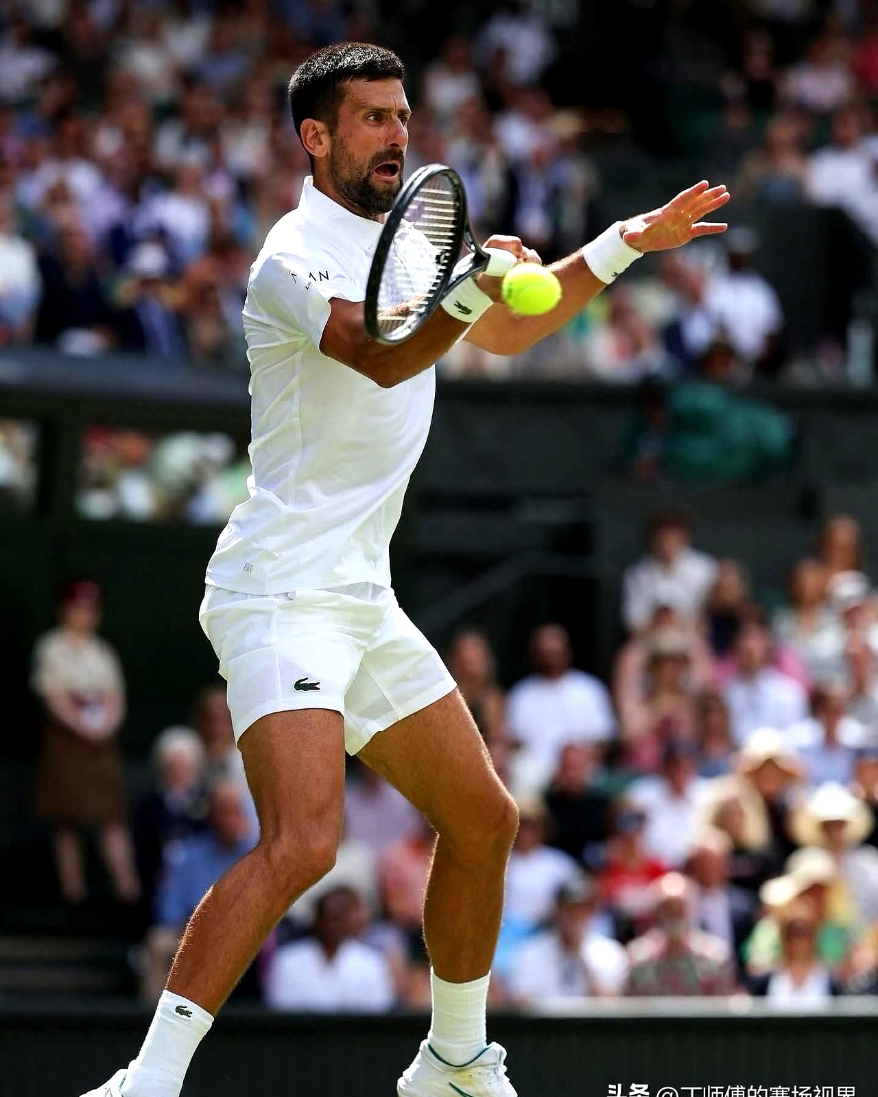 德约科维奇迎来十五赛季高光表现,日本队球迷沸腾!的简单介绍